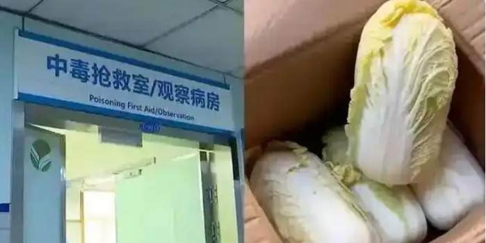 八斤娃娃菜毒倒两人：低价背后的“毒包装”与防水行业“注浆骗局”惊人相似